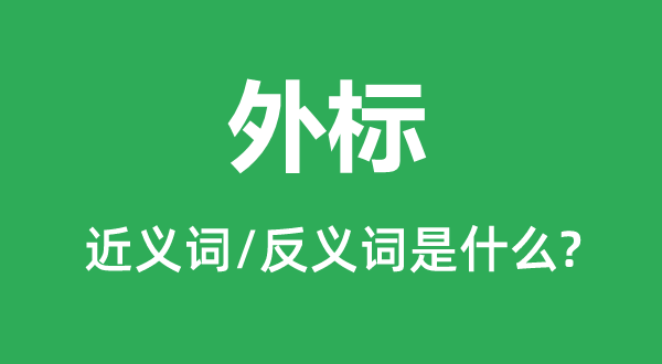 外标的近义词和反义词是什么,外标是什么意思