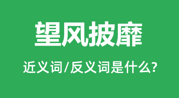 望风披靡的近义词和反义词是什么,望风披靡是什么意思