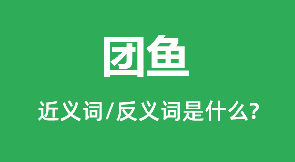 团鱼的近义词和反义词是什么,团鱼是什么意思