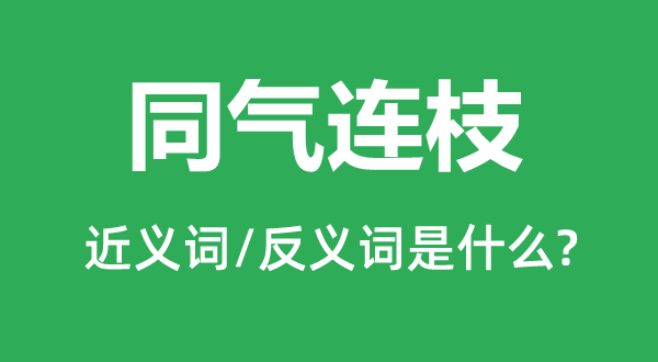 同气连枝的近义词和反义词是什么,同气连枝是什么意思