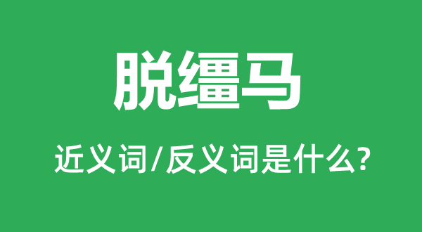 脱缰马的近义词和反义词是什么,脱缰马是什么意思