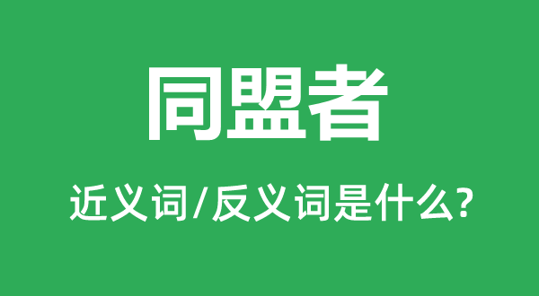 同盟者的近义词和反义词是什么,同盟者是什么意思