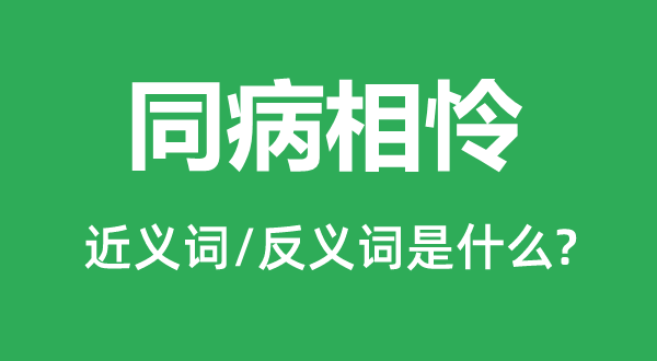 同病相怜的近义词和反义词是什么,同病相怜是什么意思