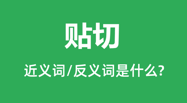 贴切的近义词和反义词是什么,贴切是什么意思