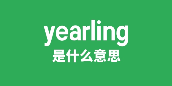 yearling是什么意思