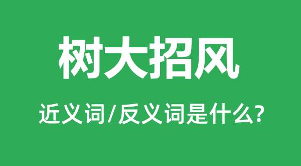 树大招风的近义词和反义词是什么,树大招风是什么意思