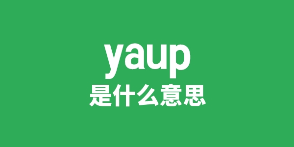 yaup是什么意思