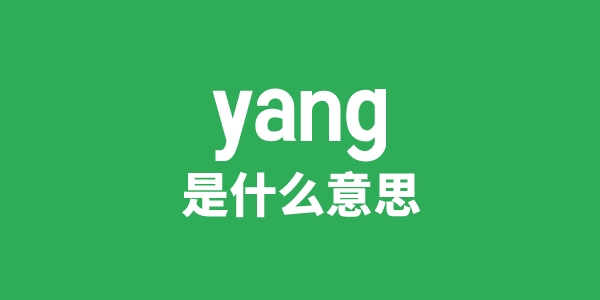 yang是什么意思