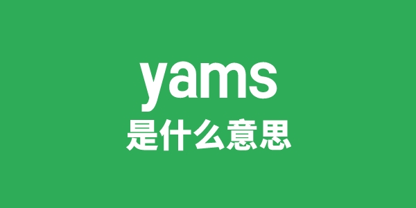 yams是什么意思