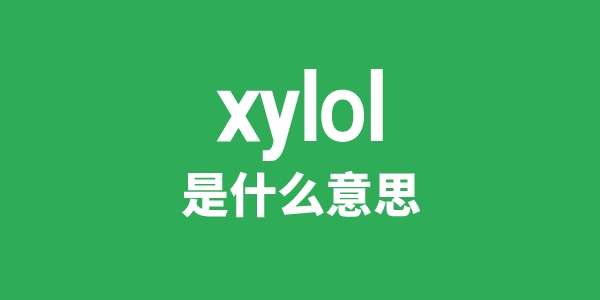 xylol是什么意思