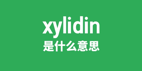 xylidin是什么意思