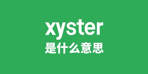 xyster是什么意思