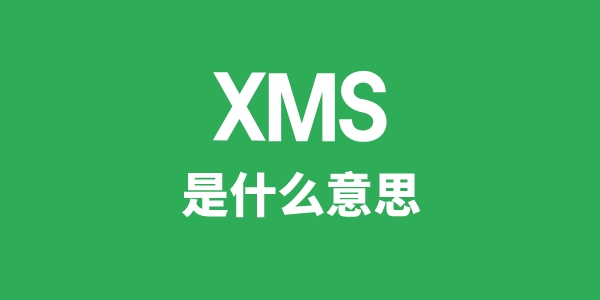 XMS是什么意思