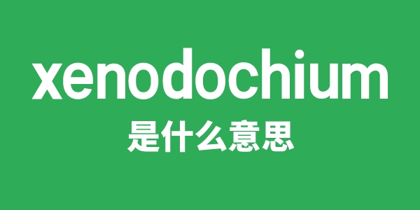 xenodochium是什么意思