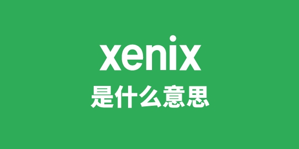 xenix是什么意思