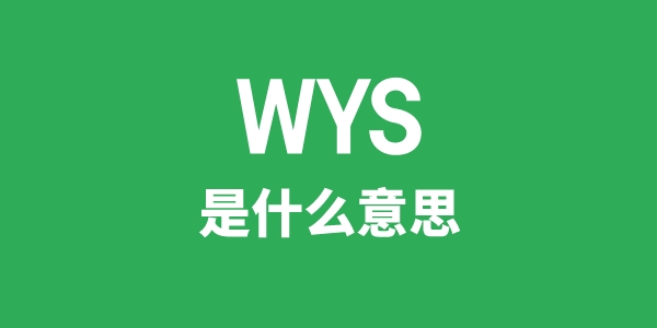 WYS是什么意思