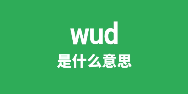 wud是什么意思