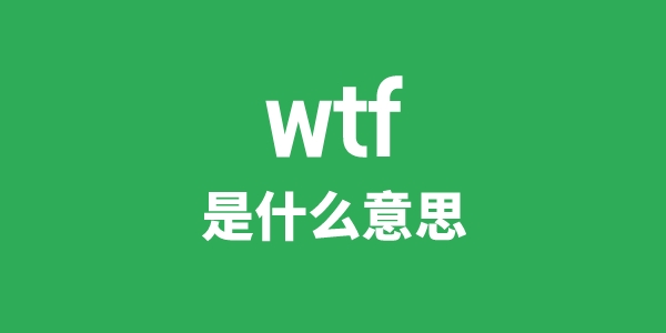 wtf是什么意思