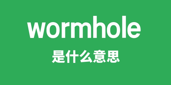 wormhole是什么意思