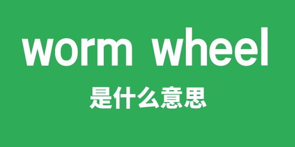 worm wheel是什么意思