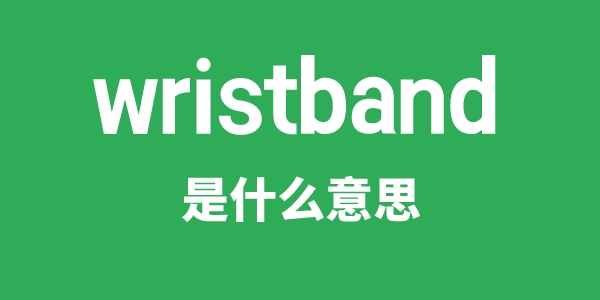 wristband是什么意思