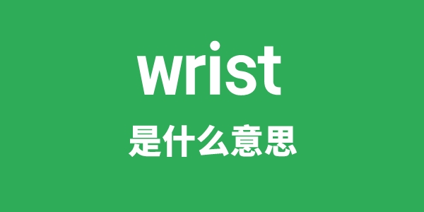 wrist是什么意思