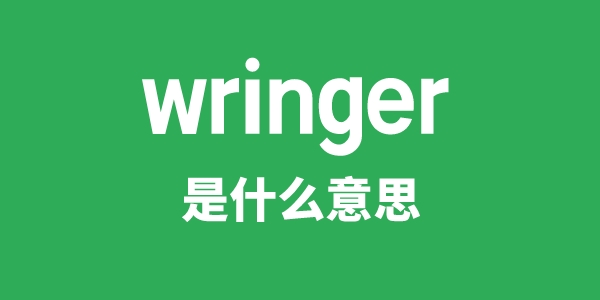 wringer是什么意思