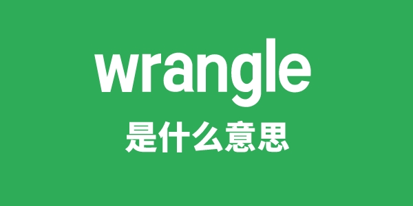 wrangle是什么意思