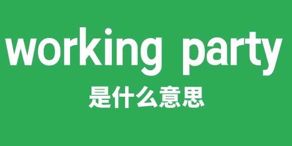 working party是什么意思