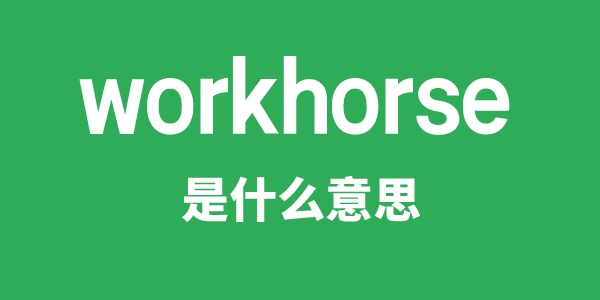 workhorse是什么意思