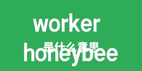 worker honeybee是什么意思