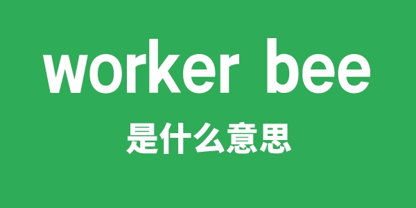 worker bee是什么意思