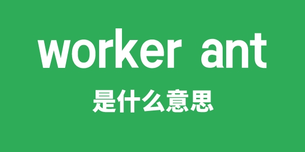 worker ant是什么意思