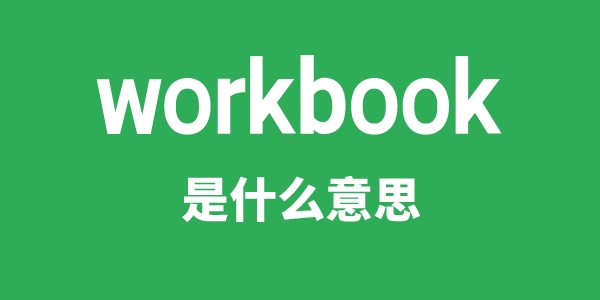 workbook是什么意思