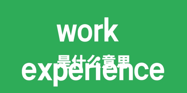 work experience是什么意思