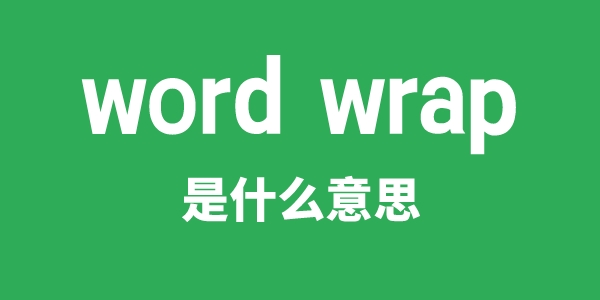 word wrap是什么意思