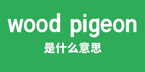 wood pigeon是什么意思