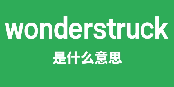 wonderstruck是什么意思