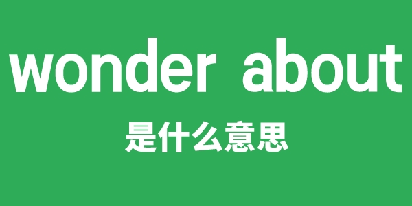 wonder about是什么意思