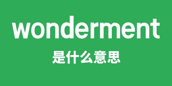 wonderment是什么意思