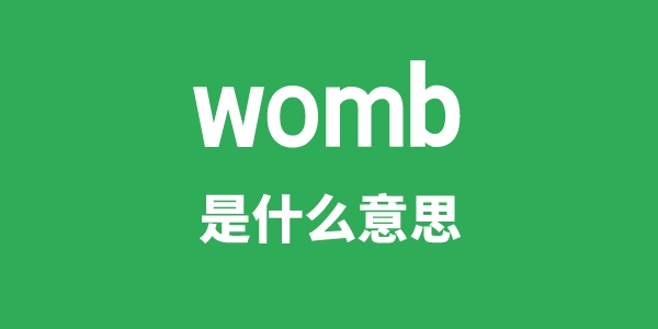 womb是什么意思