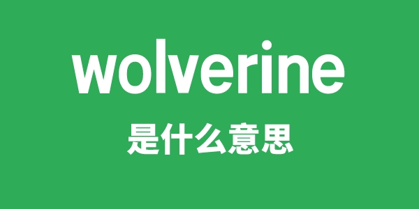 wolverine是什么意思