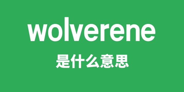 wolverene是什么意思