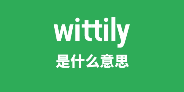 wittily是什么意思