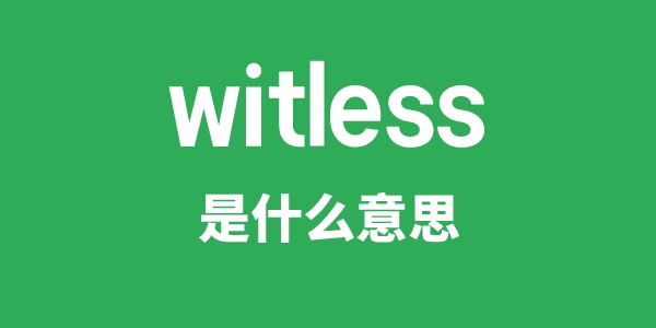 witless是什么意思