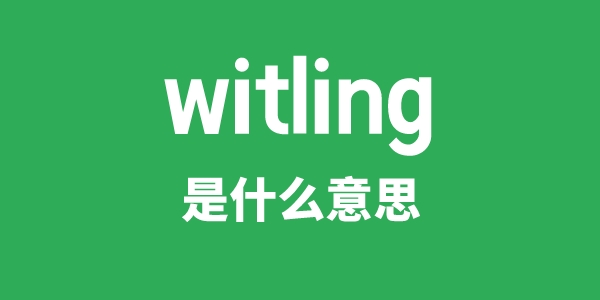 witling是什么意思