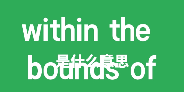 within the bounds of是什么意思