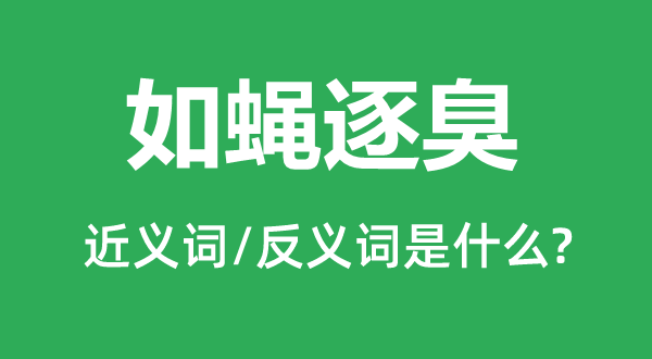 如蝇逐臭的近义词和反义词是什么,如蝇逐臭是什么意思