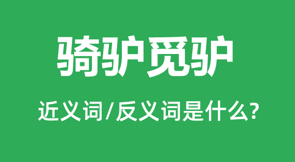 骑驴觅驴的近义词和反义词是什么,骑驴觅驴是什么意思