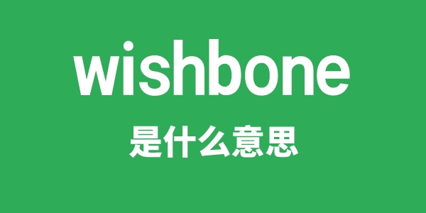 wishbone是什么意思